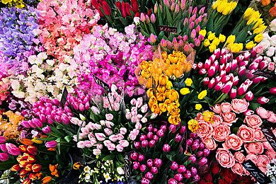 尘封大陆怎么联机？尘封大陆多人联机教程攻略